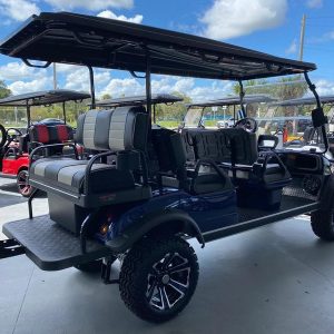 2024 Evolution Electric Vehicles Forester 6 Plus for sale