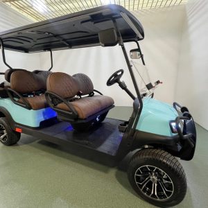 Custom Club Car 6 Passenger Electric Golf Cart for sale
