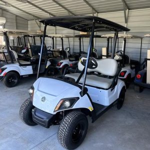 2024 Yamaha Golf-Car Drive 2 PTV Powertech LI Petrol for sale