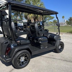 2024 Evolution Electric Vehicles D5-Ranger 4 for sale