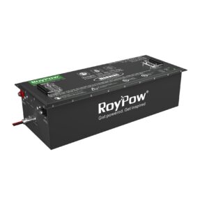48V 160Ah Lithium Golf Cart Battery S51160P for sale