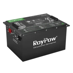 48V 50Ah Lithium Golf Cart Battery S5156 for sale