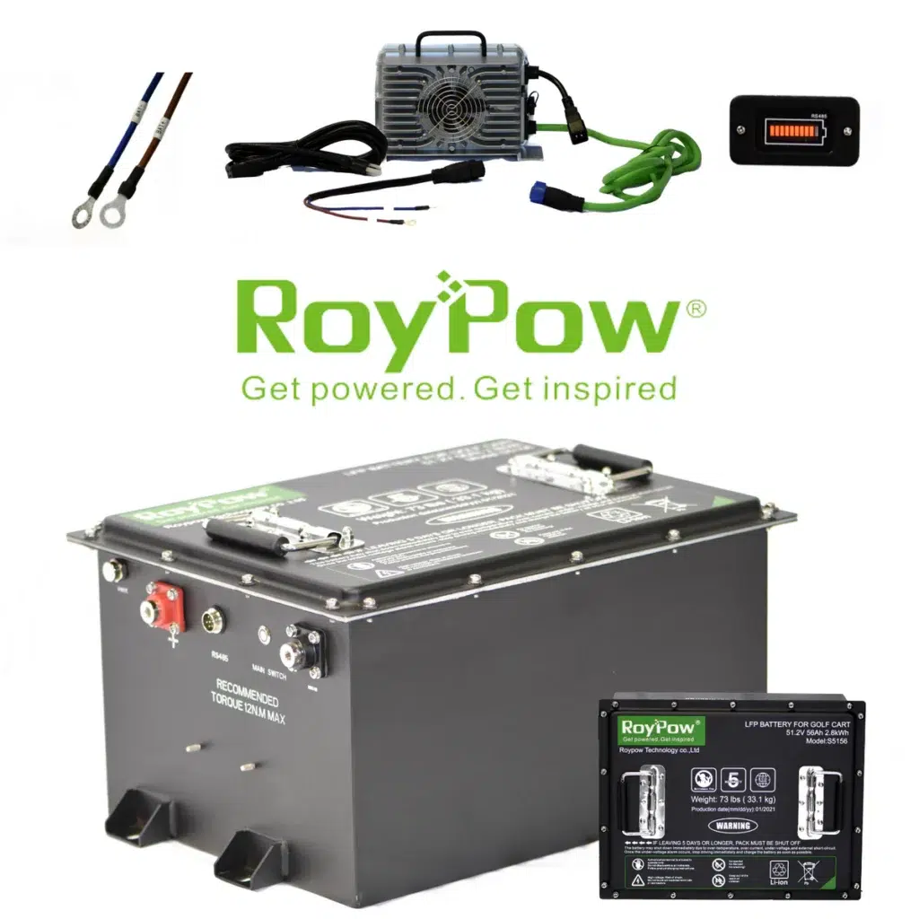 RoyPoy Battery